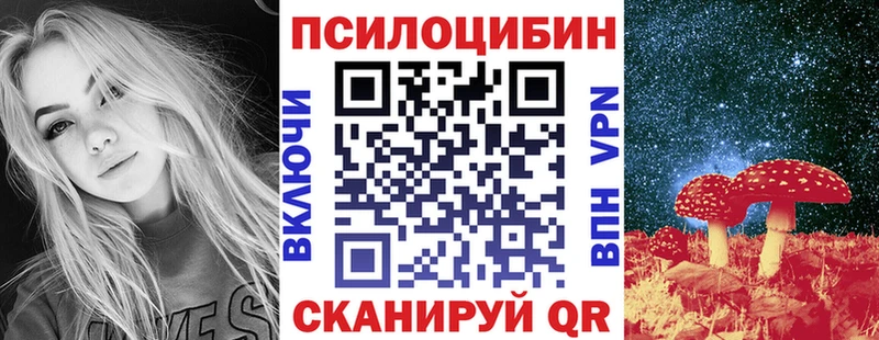 Галлюциногенные грибы Psilocybe  Кызыл 